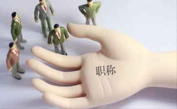 晋升正高级教师工作总结7篇
