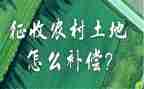 对征收办申请书7篇