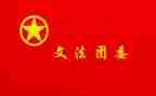 镇团委书记述职报告7篇