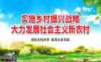 乡村振兴帮扶工作计划6篇