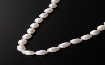 珍珠鸟,读后感5篇