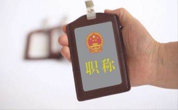 职称专业工作总结模板6篇