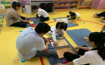 培养指导青年教师工作总结7篇