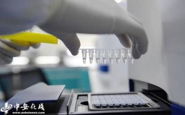 数质量工作计划最新5篇