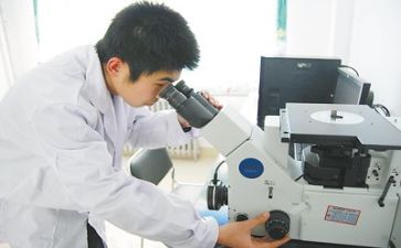 质量部工作总结最新8篇