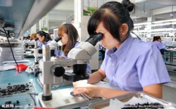 质量管理工作总结个人总结模板6篇
