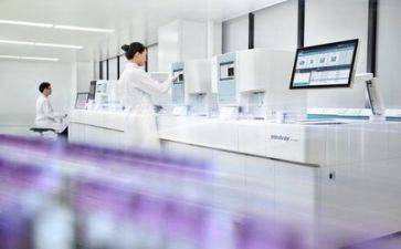 质量师工作总结通用7篇