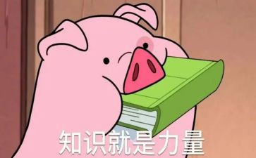 安全知识活动总结5篇