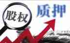 质押担保合同通用8篇