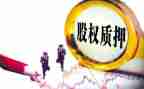 解质押合同模板7篇