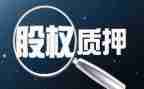 借款质押合同6篇
