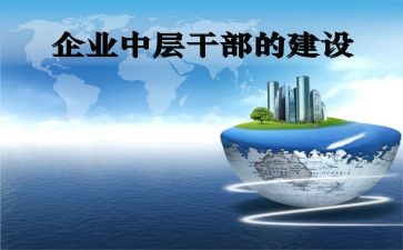 中层工作总结7篇