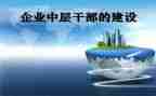 中层工作总结7篇