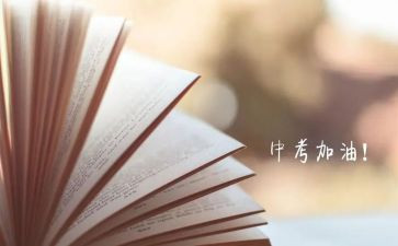 中考励志作文800字精选6篇