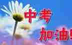 关于中考作文模板8篇