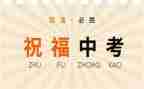 语文中考备考会心得体会6篇