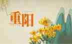99重阳心得体会推荐8篇