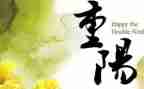 开展重阳节活动方案优秀6篇