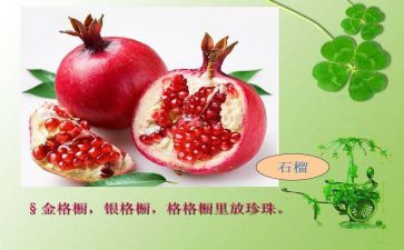 状物优秀作文参考6篇