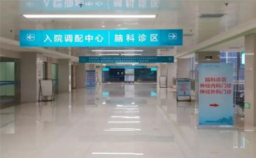 专科工作总结模板8篇
