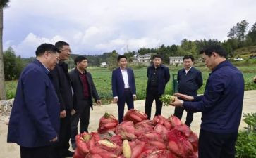 助农的心得体会5篇