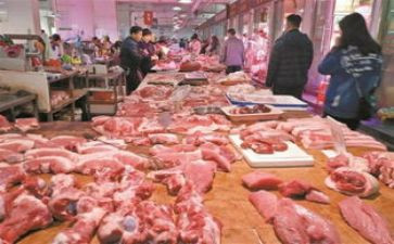 生猪肉买卖合同5篇