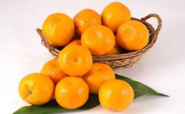 ?橘子作文优秀7篇