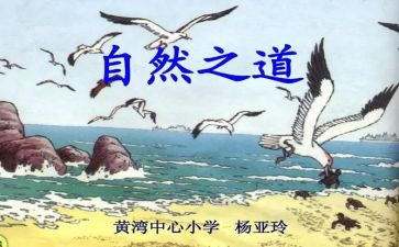 听《自然之道》的心得体会6篇