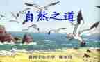 听《自然之道》的心得体会6篇
