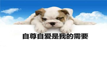 自尊自强好少年事迹6篇