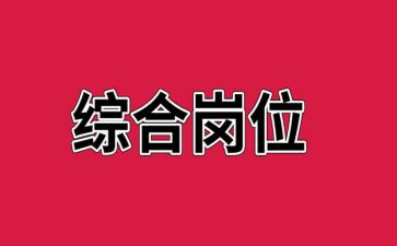 综合岗年终工作总结7篇