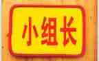 2024年组长工作总结范文精选7篇